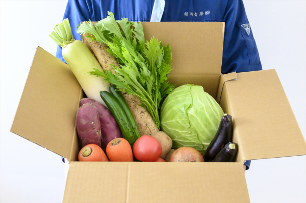 野菜詰め合わせ